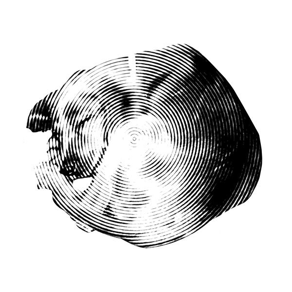 Plastichien - © Tim Catinat, all right reserved