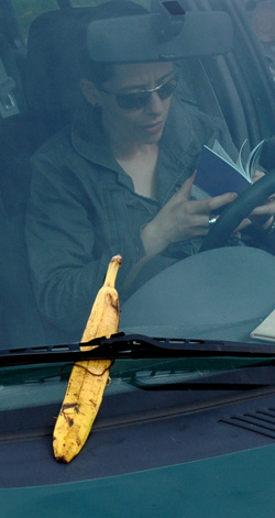 Don't you eat that yellow fine - © Tim Catinat, all right reserved