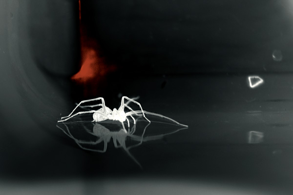 © Tim Catinat, all right reserved