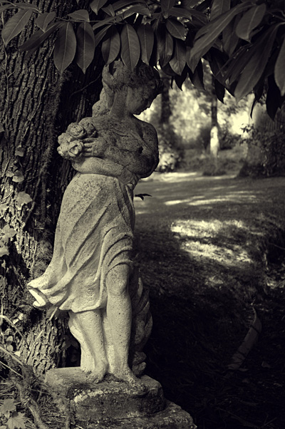 © Tim Catinat, all right reserved