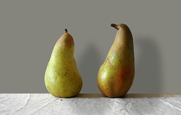 © Tim Catinat, all right reserved