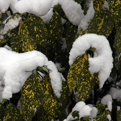 © Tim Catinat, all right reserved