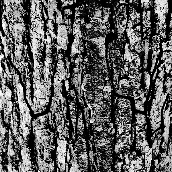 Autoportronc - © Tim Catinat, all right reserved