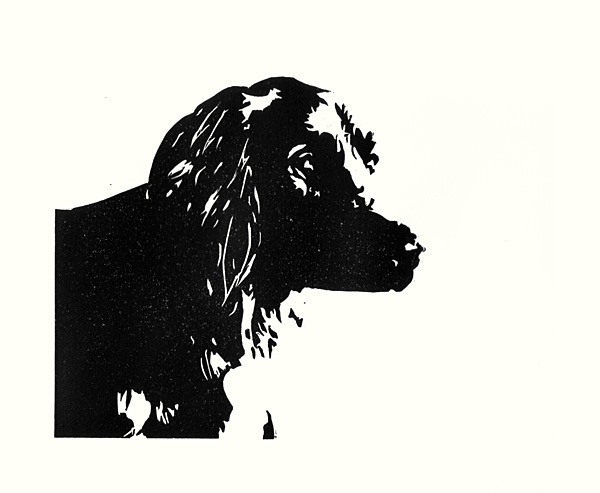 Fidelio - © Tim Catinat, all right reserved