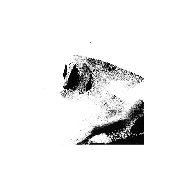 Similétude - © Tim Catinat, all right reserved