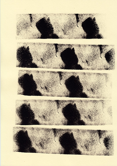 © Tim Catinat, all right reserved