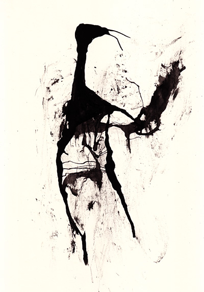 Prinsecte - © Tim Catinat, all right reserved