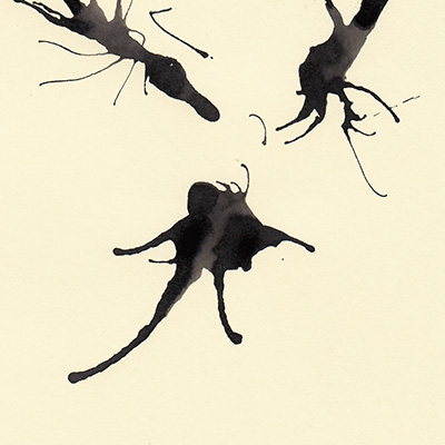 © Tim Catinat, all right reserved