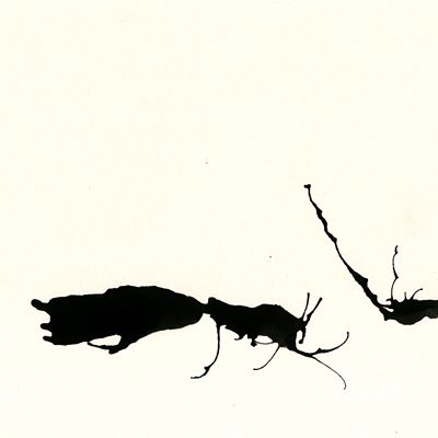 © Tim Catinat, all right reserved