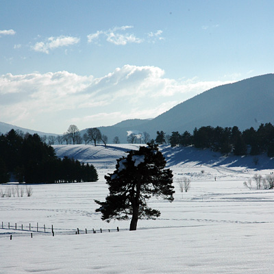 © Tim Catinat, all right reserved