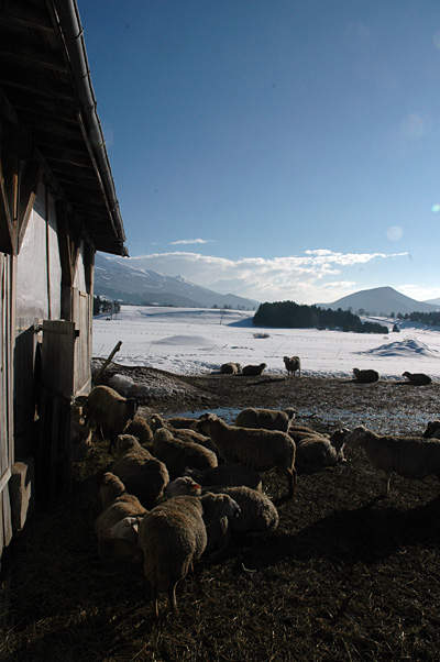 © Tim Catinat, all right reserved