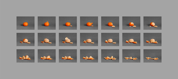 La mandarine - © Tim Catinat, all right reserved