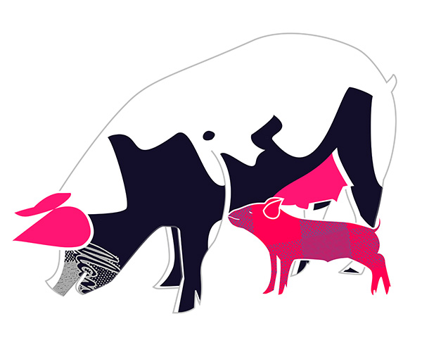 Confiture et cochons - © Tim Catinat, all right reserved