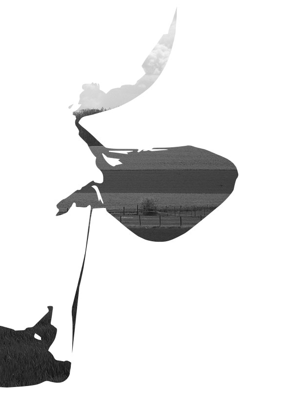 Préface - © Tim Catinat, all right reserved