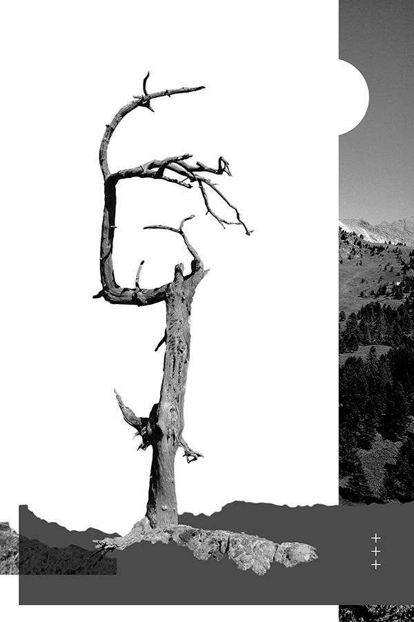 Ultraterrestre - © Tim Catinat, all right reserved