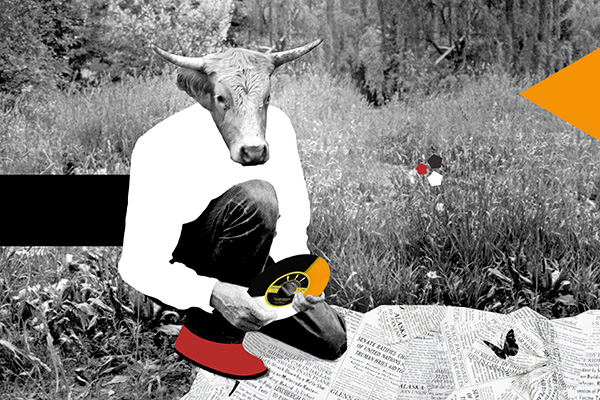 © Tim Catinat, all right reserved