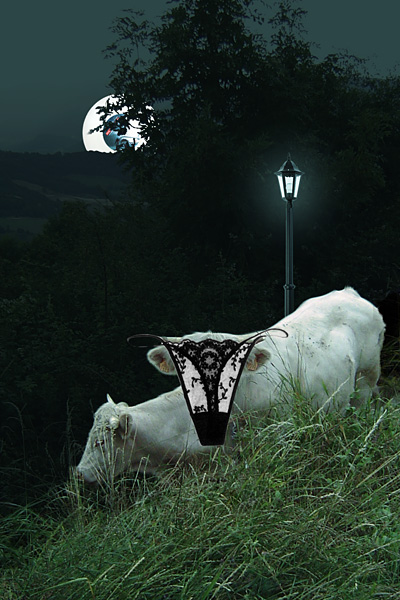 © Tim Catinat, all right reserved