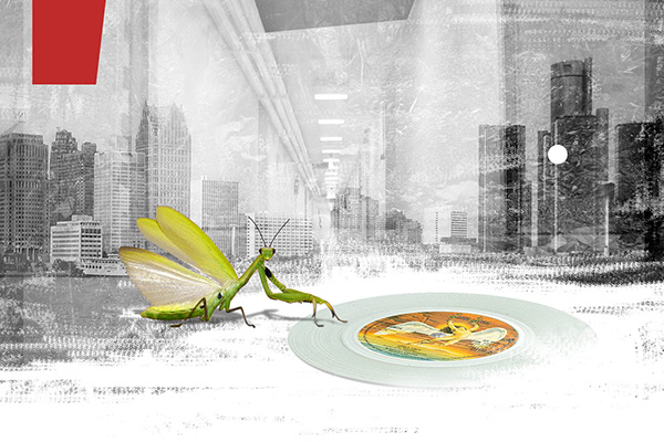 © Tim Catinat, all right reserved