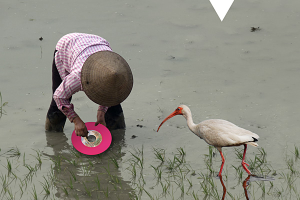 © Tim Catinat, all right reserved